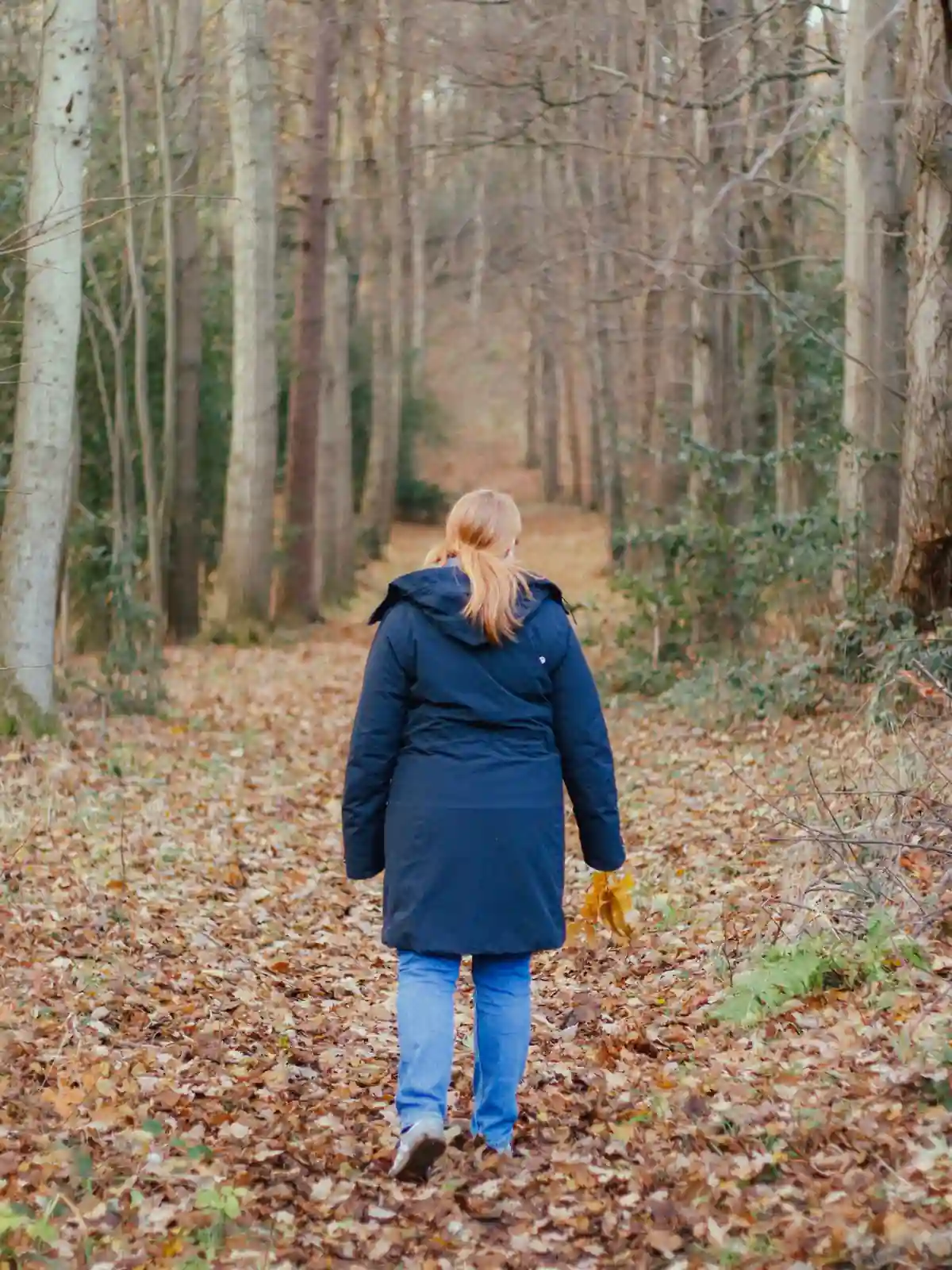 Eine Frau in dunkelblauer Jacke geht von hinten gesehen durch einen herbstlichen Birkenwald, Laub auf dem Weg.